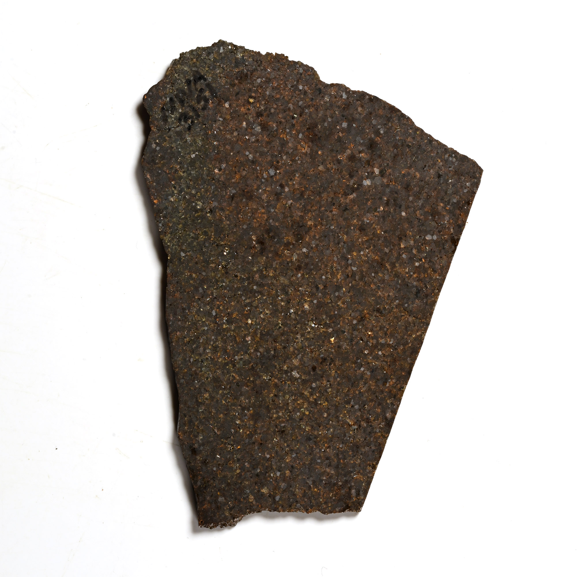 Natural History - Brachinite NWA 3151 Meteorite Slice